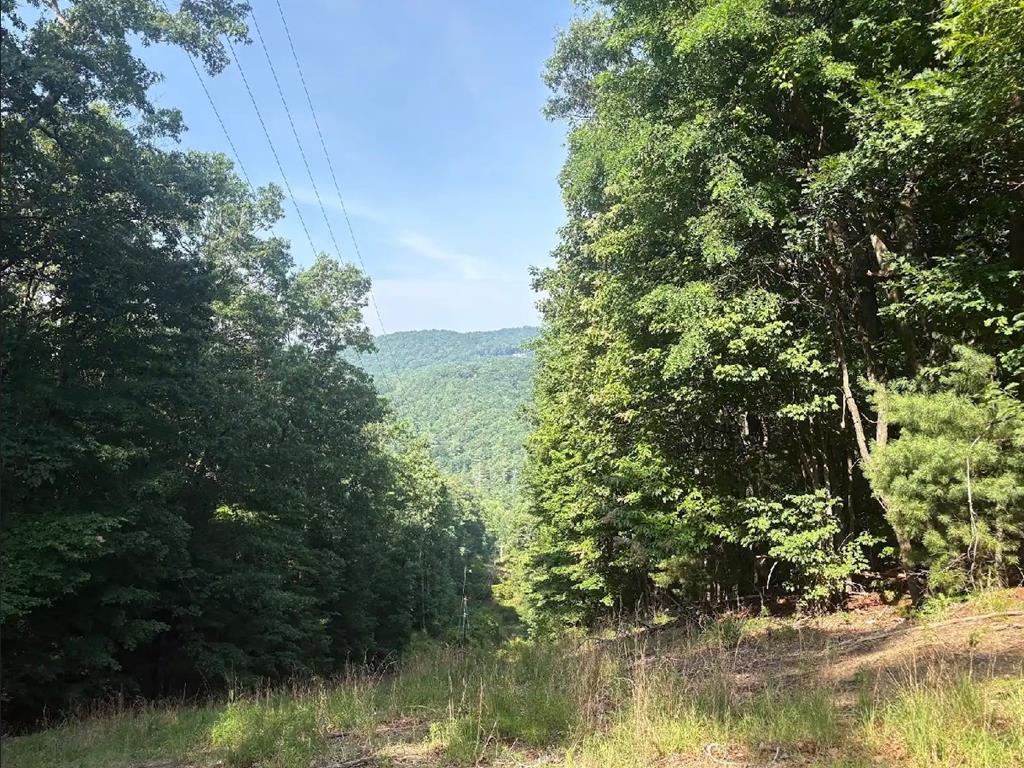 434156  Land
