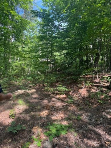 434163 Ellijay
 Land