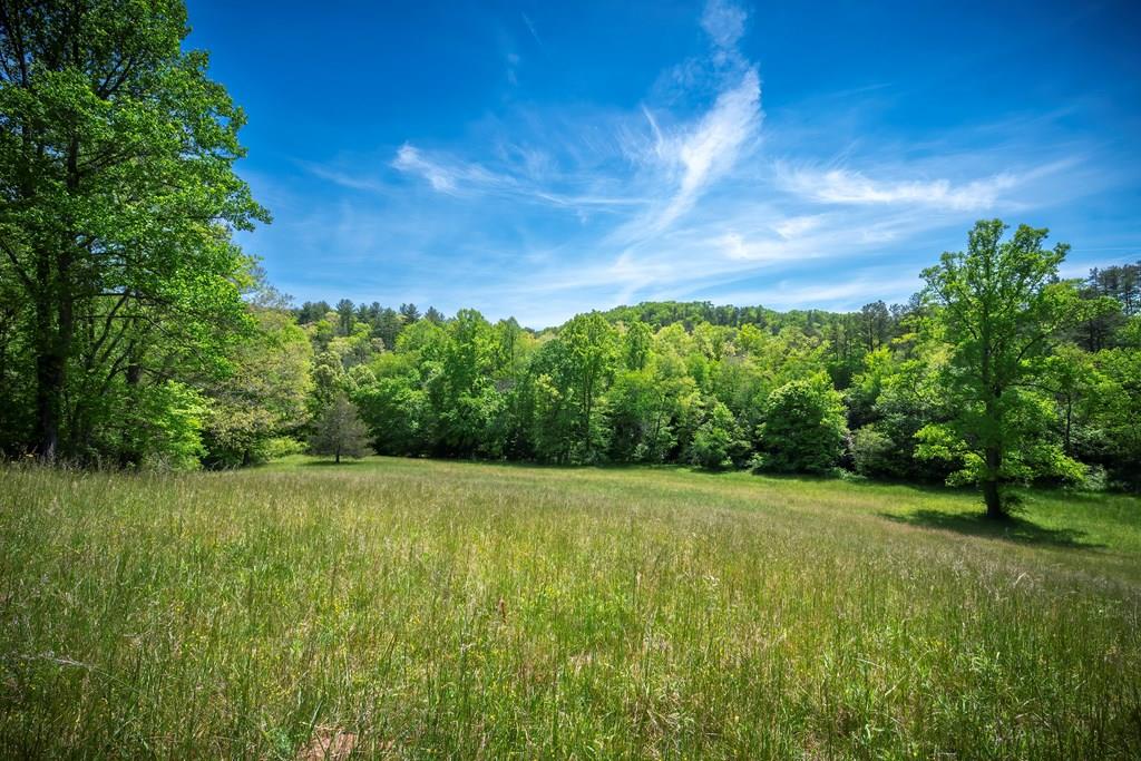 434166  Land