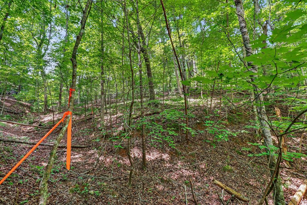 434174  Land