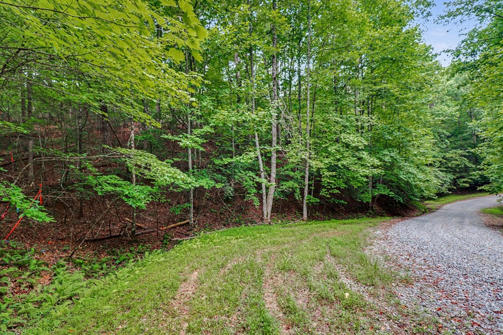 434174 Ellijay
 Land