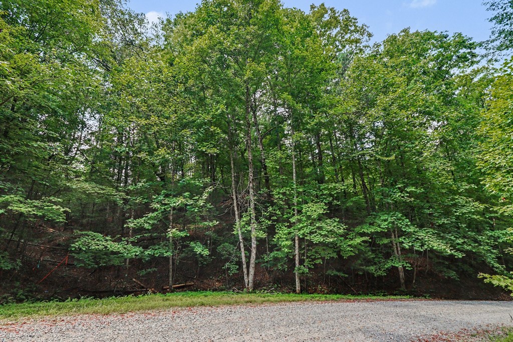 434174 Ellijay
 Land