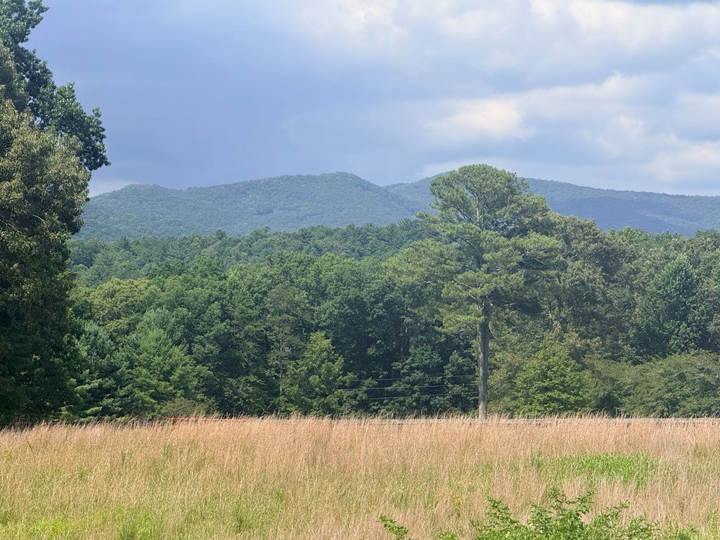 434176 Ellijay
 Land
