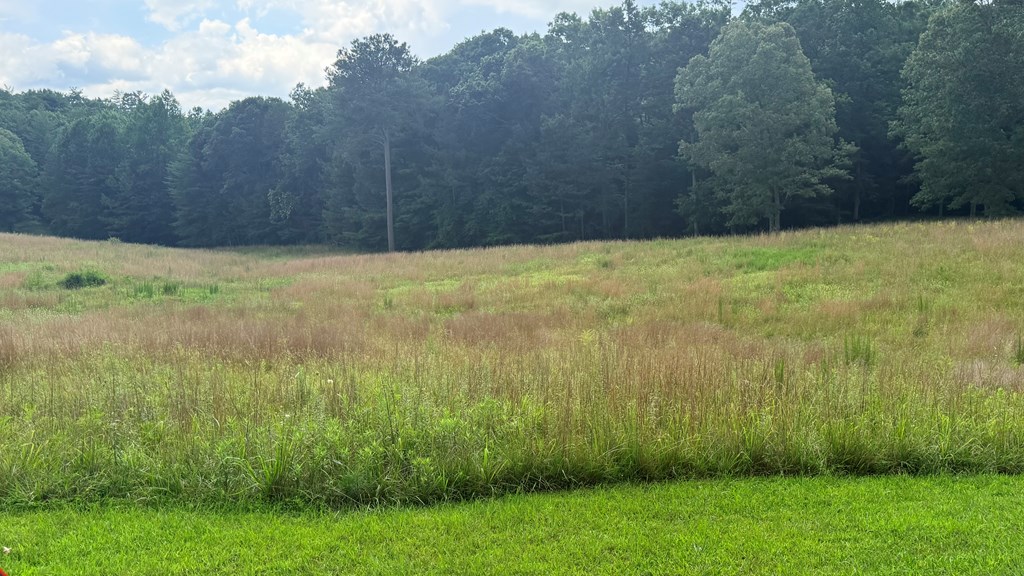 434176 Ellijay
 Land