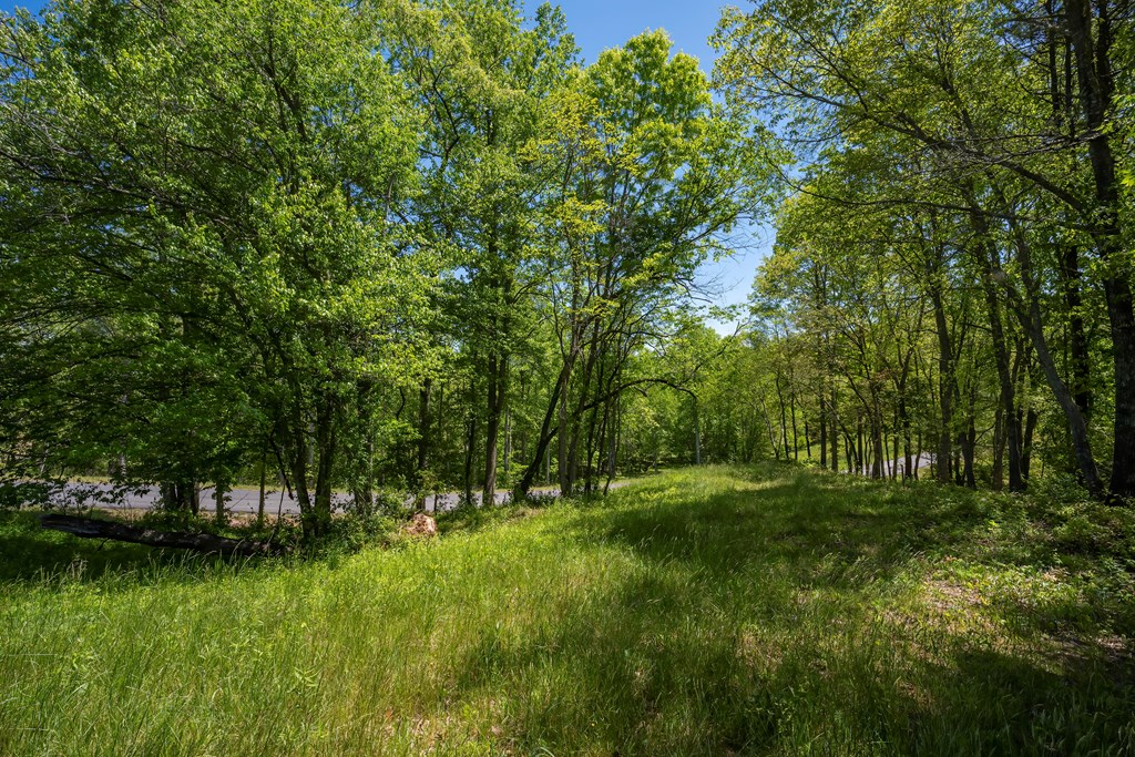 434184 Mineral Bluff
 Land