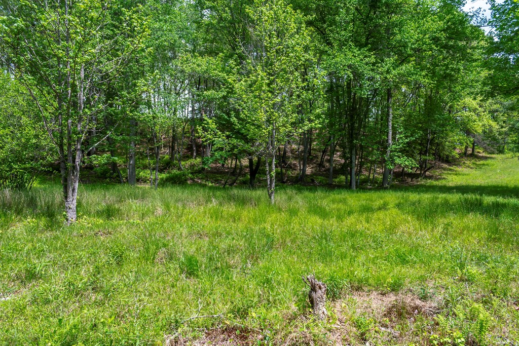 434185 Mineral Bluff
 Land