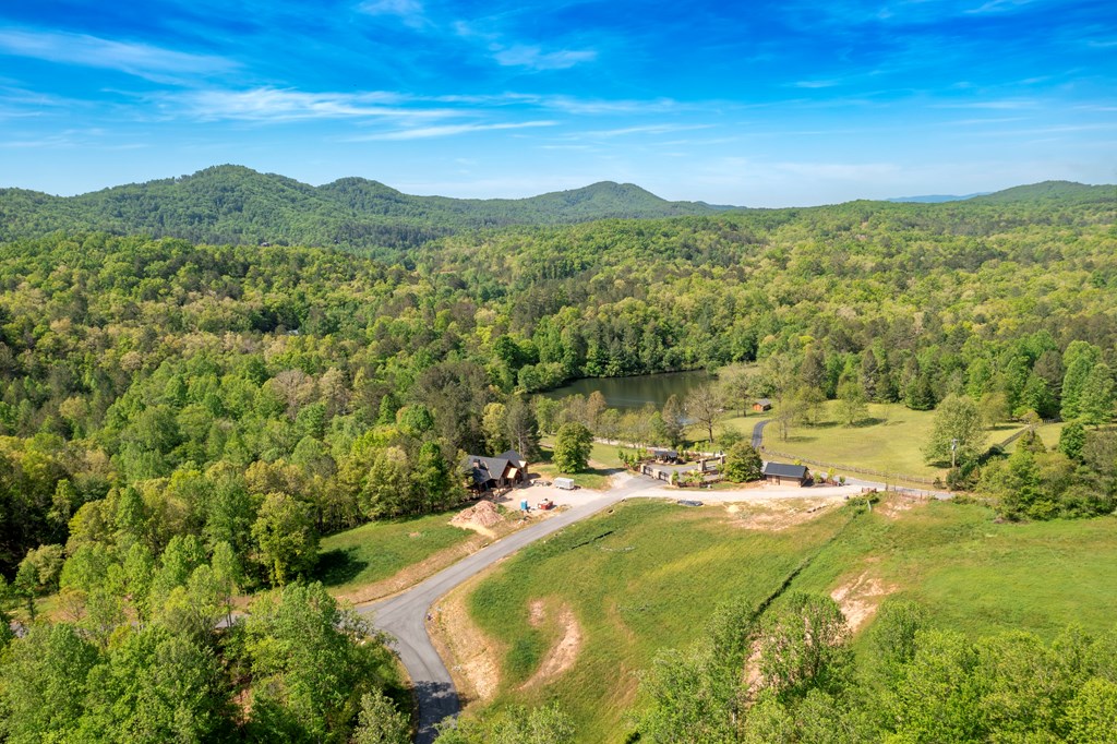 434186 Mineral Bluff
 Land