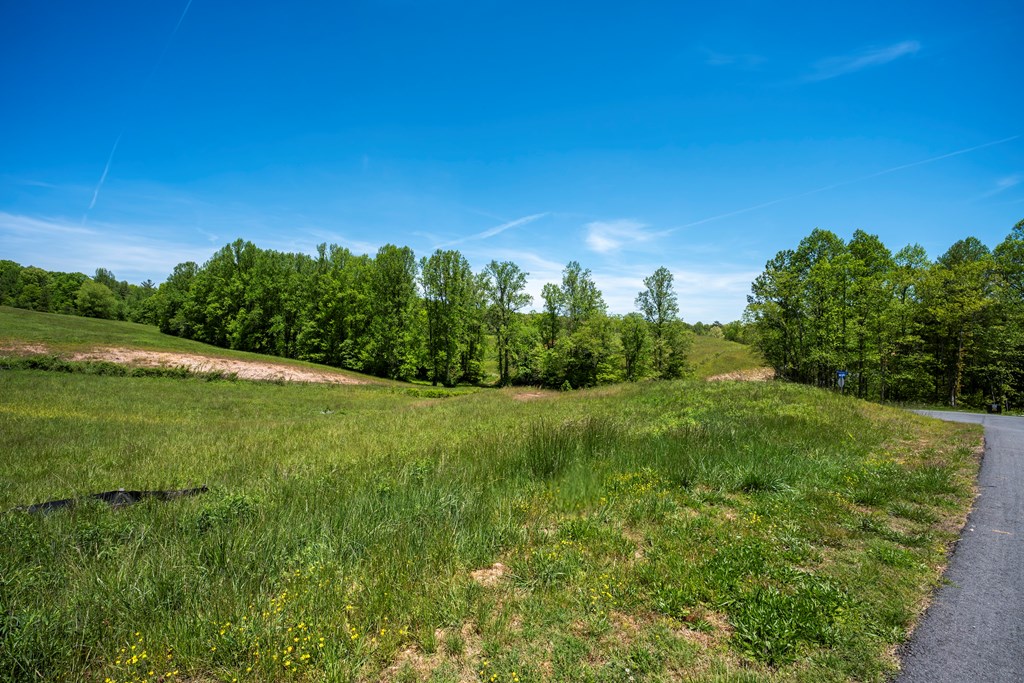 434186 Mineral Bluff
 Land