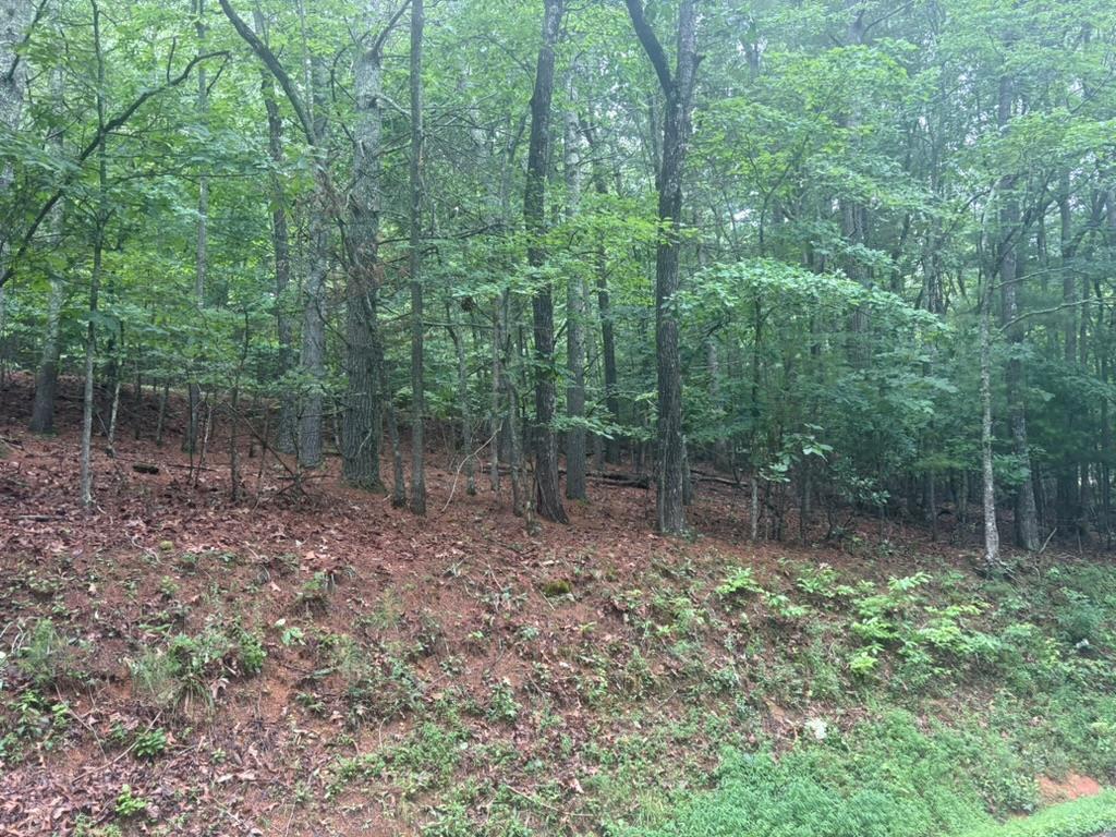 434187  Land