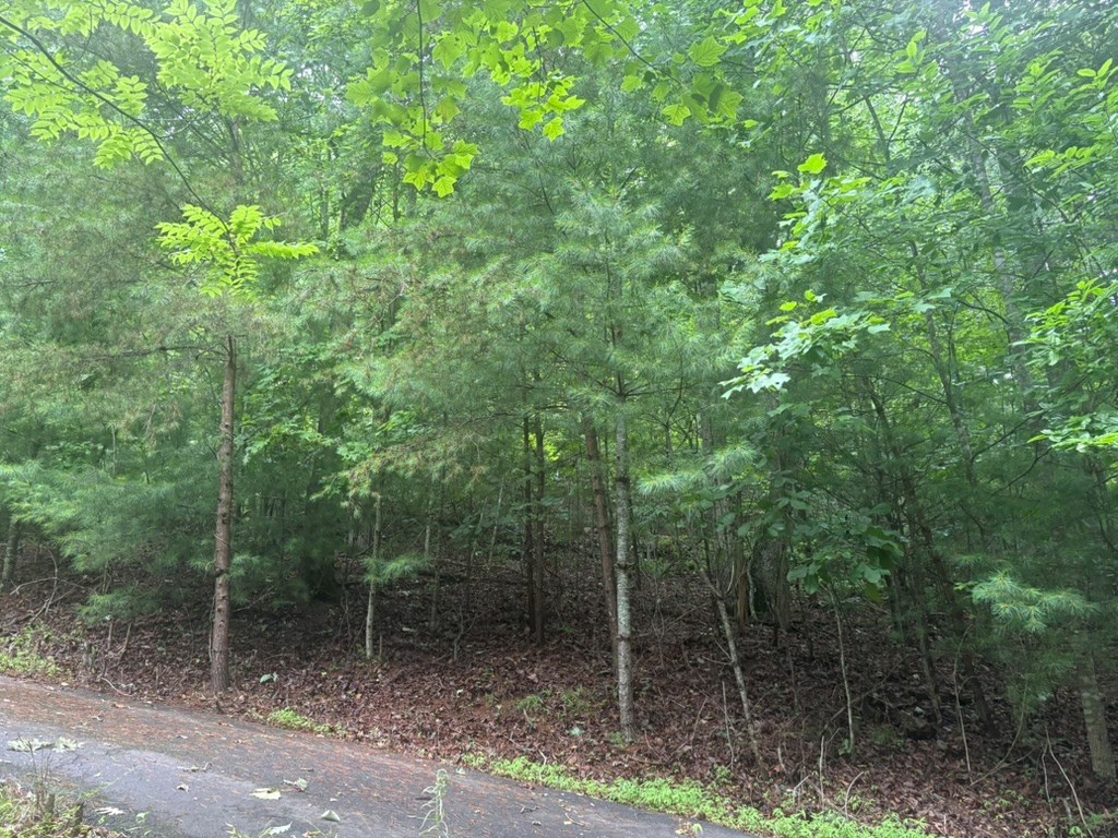 434187 Blairsville
 Land