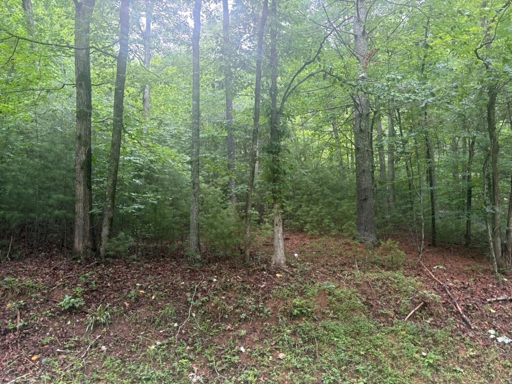 434187 Blairsville
 Land