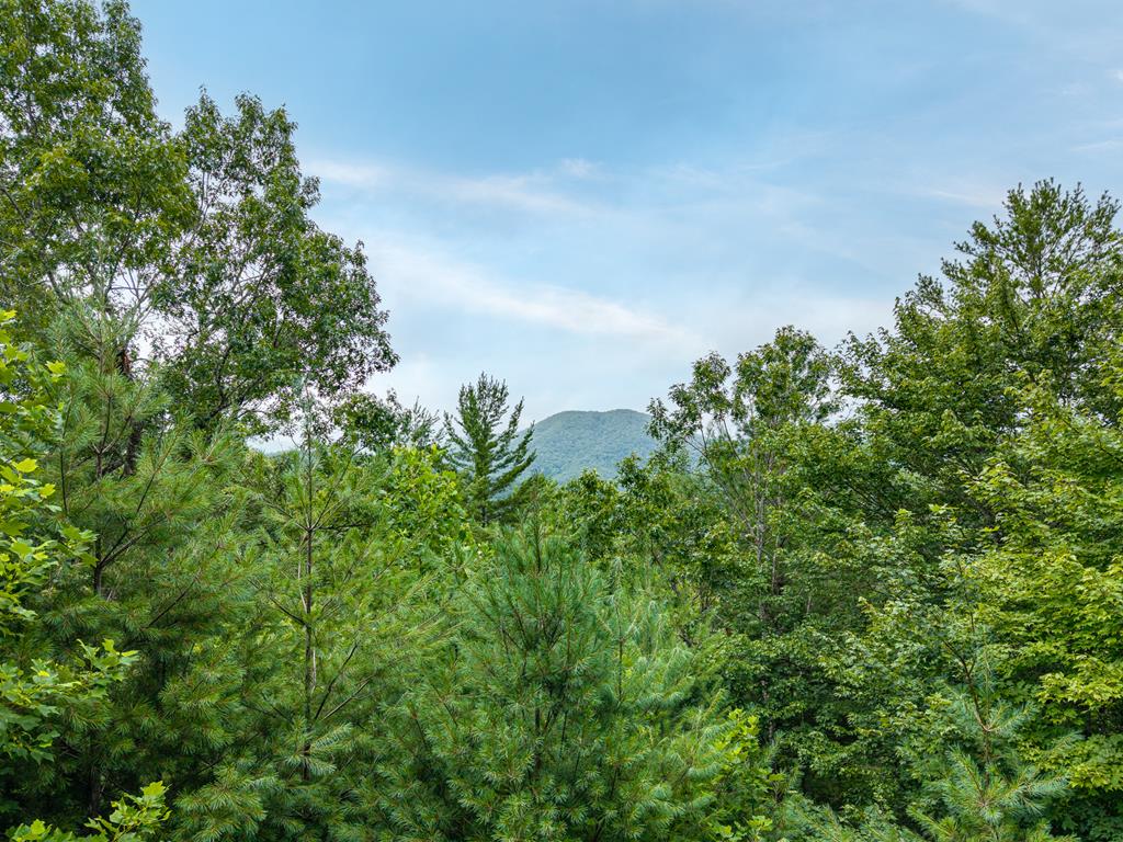 434188 Hiawassee Active