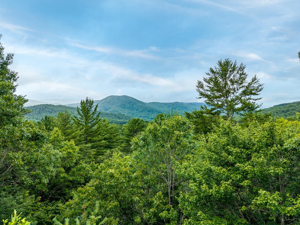 434188 Hiawassee Active