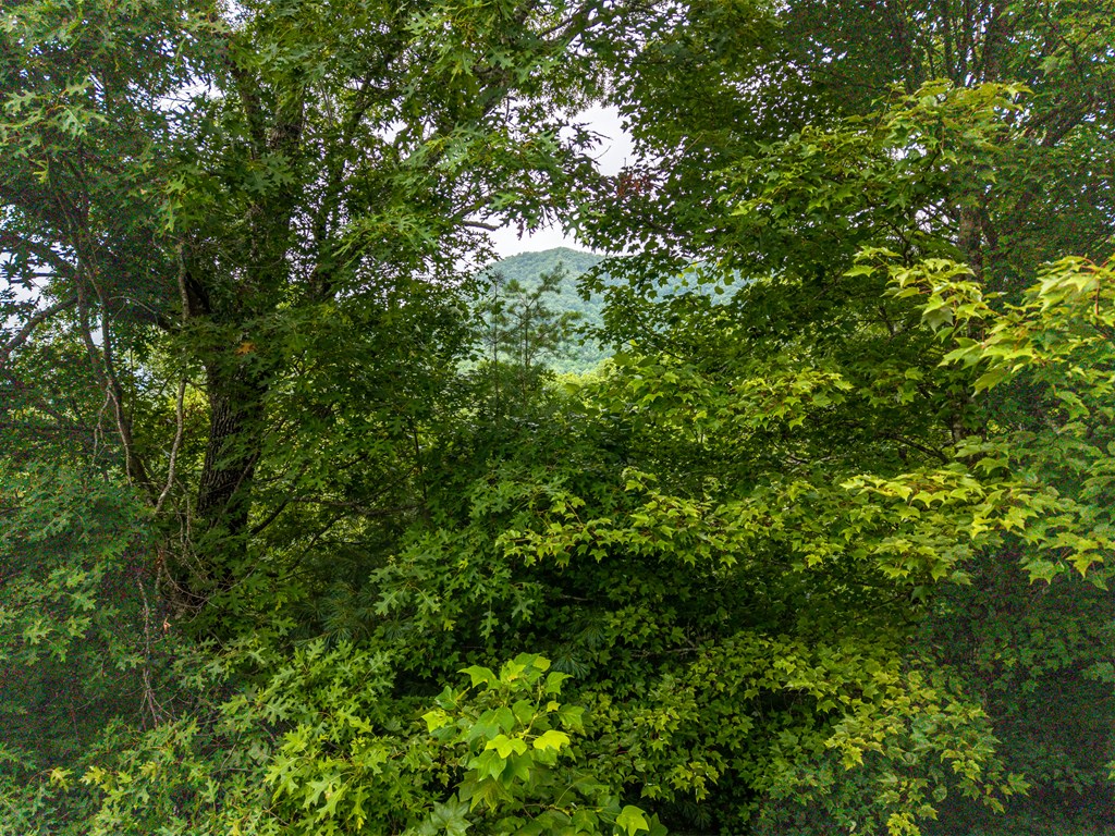 434188 Hiawassee Active