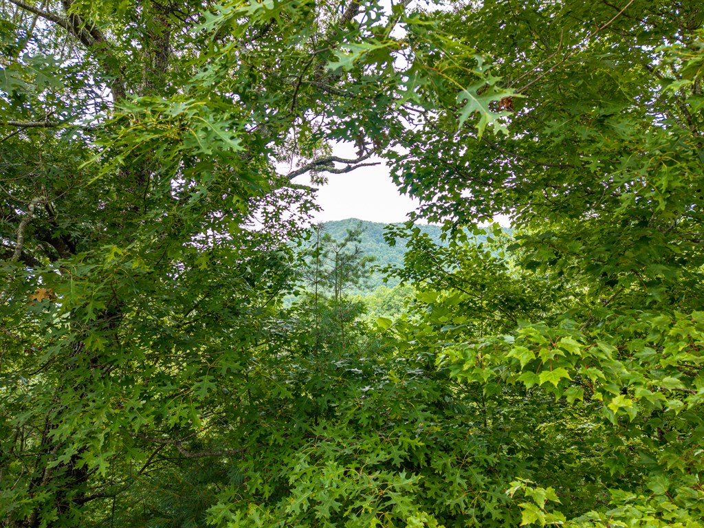 434188 Hiawassee Active