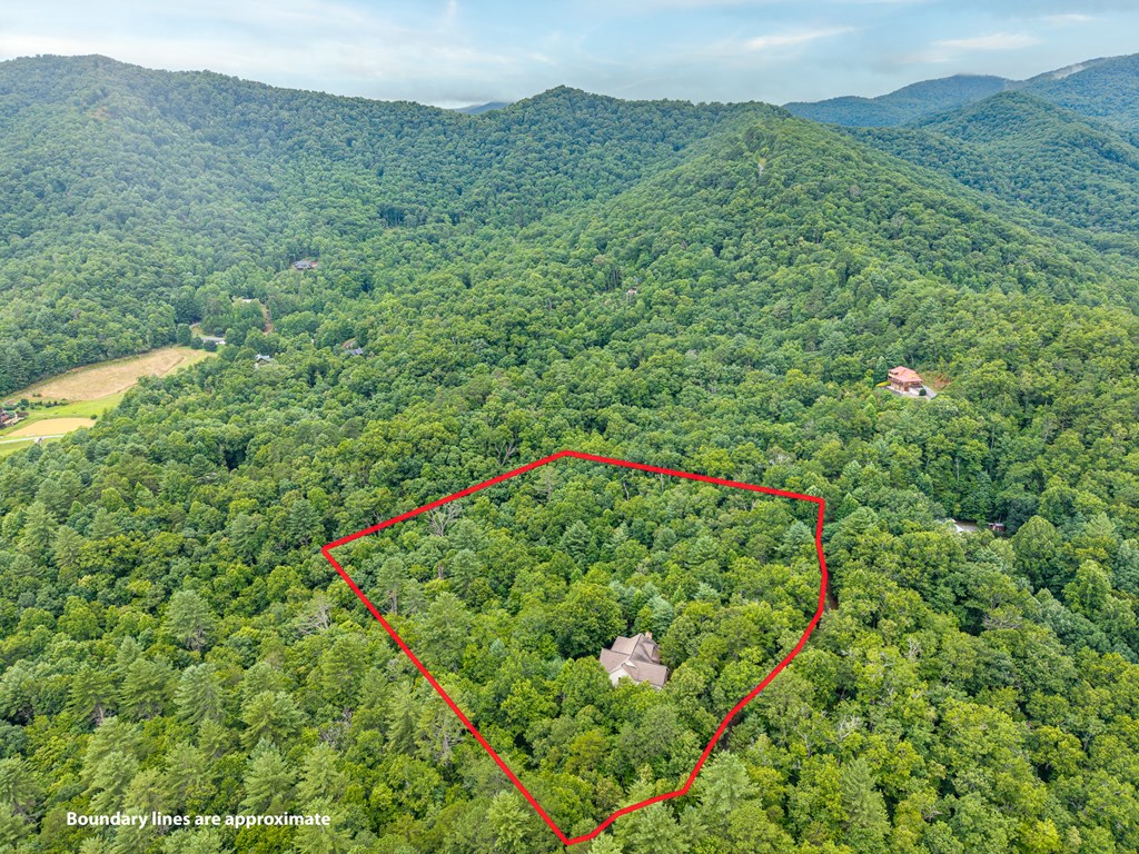 434188 Hiawassee Active