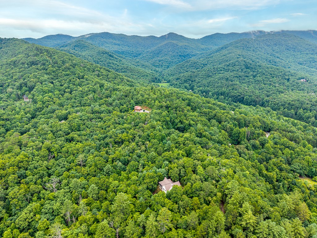 434188 Hiawassee Active
