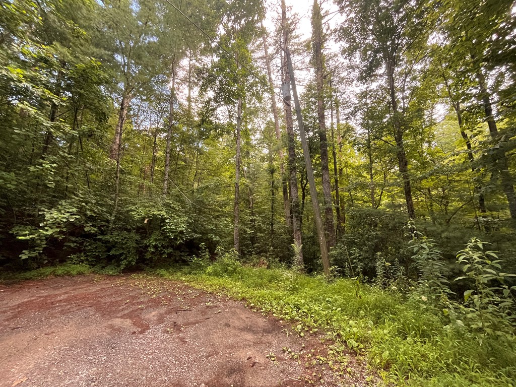 434191 Ellijay
 Land