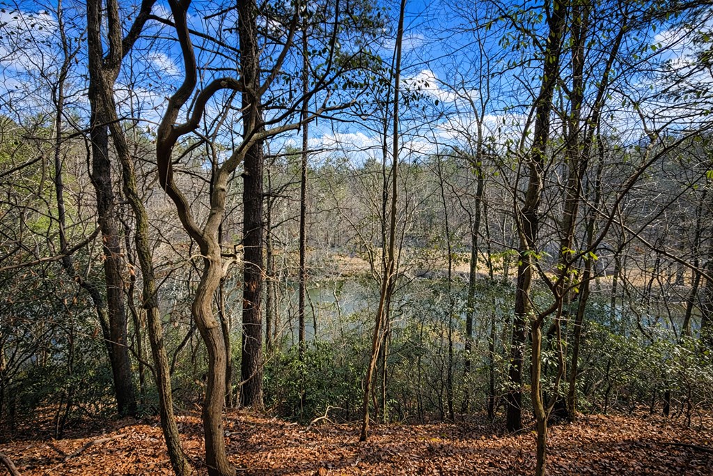 434192 Ellijay
 Land