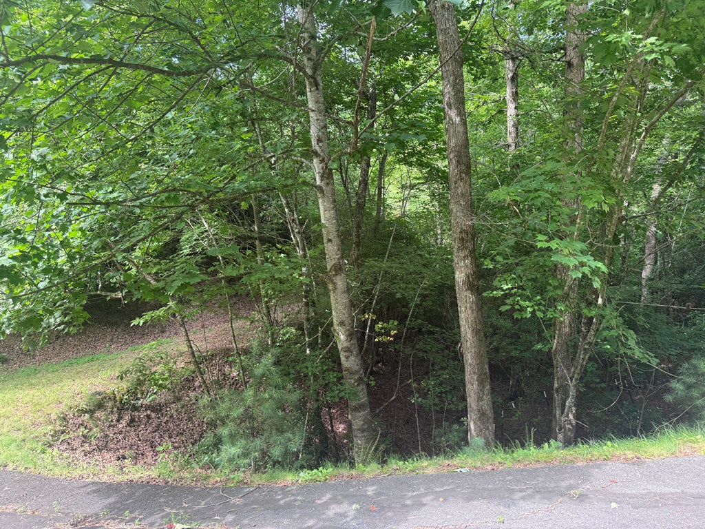 434193 Brasstown
 Land