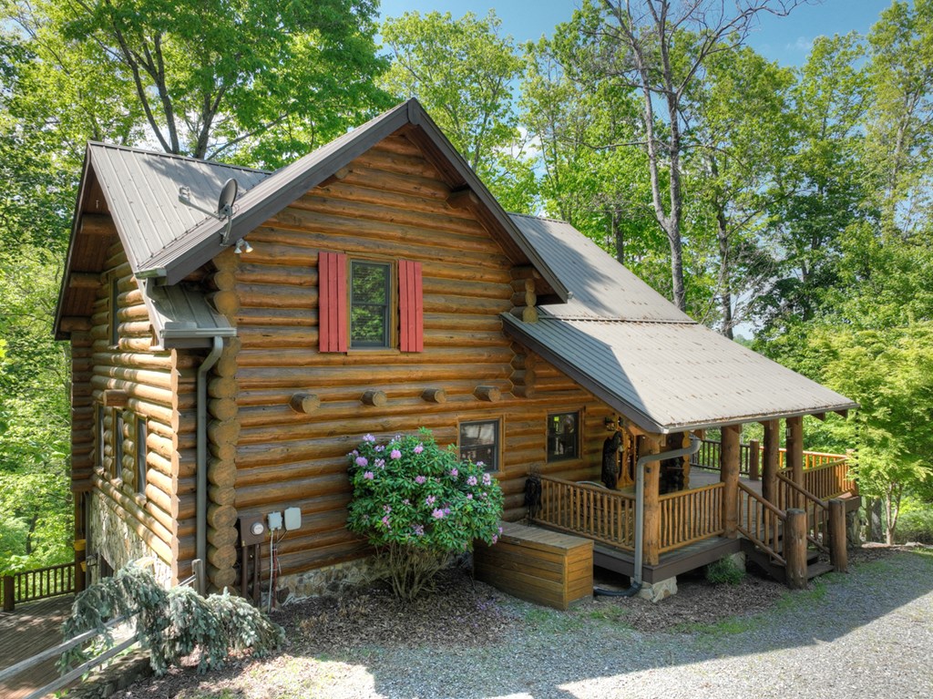 434195 Blue Ridge Active