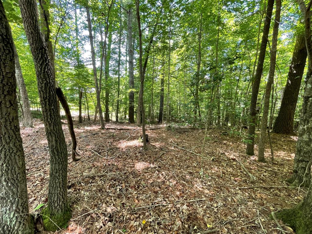 434198  Land