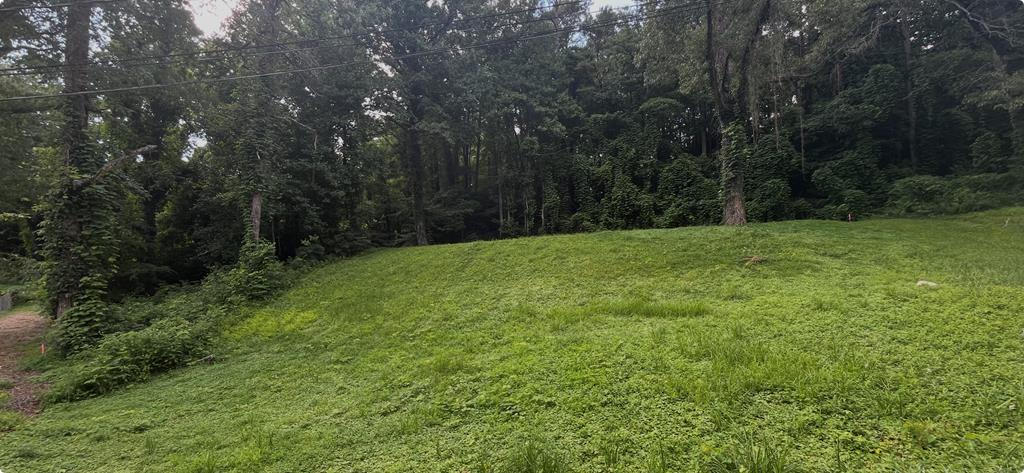 434199  Land