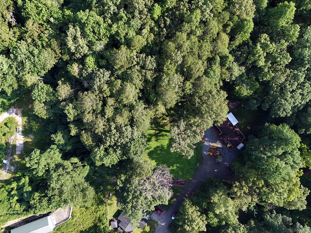 434199 Blue Ridge
 Land