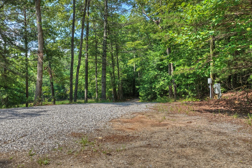 434201 Blue Ridge
 Land