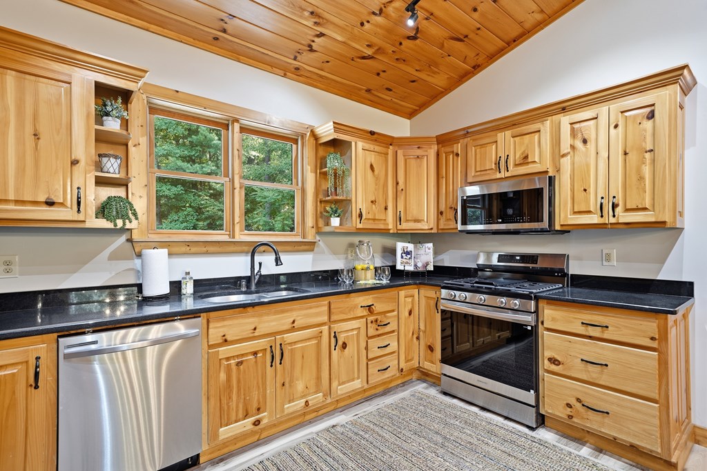 434203 Ellijay Active