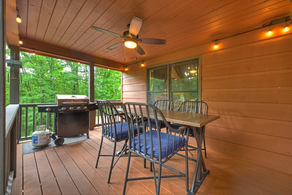434210 Ellijay Active