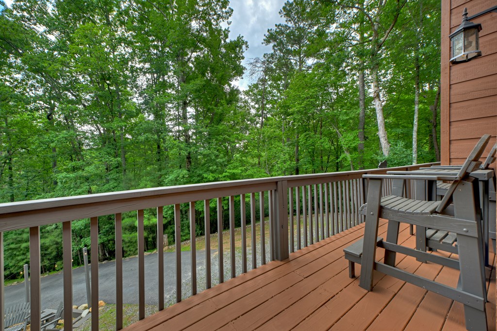434210 Ellijay Active
