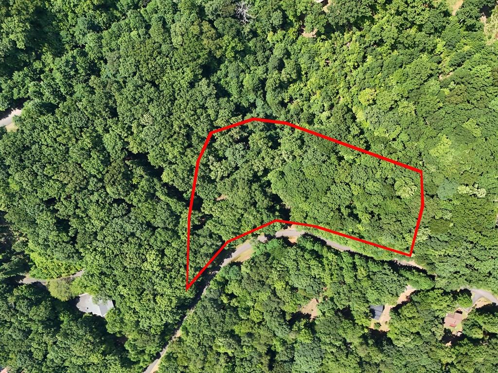 434217  Land