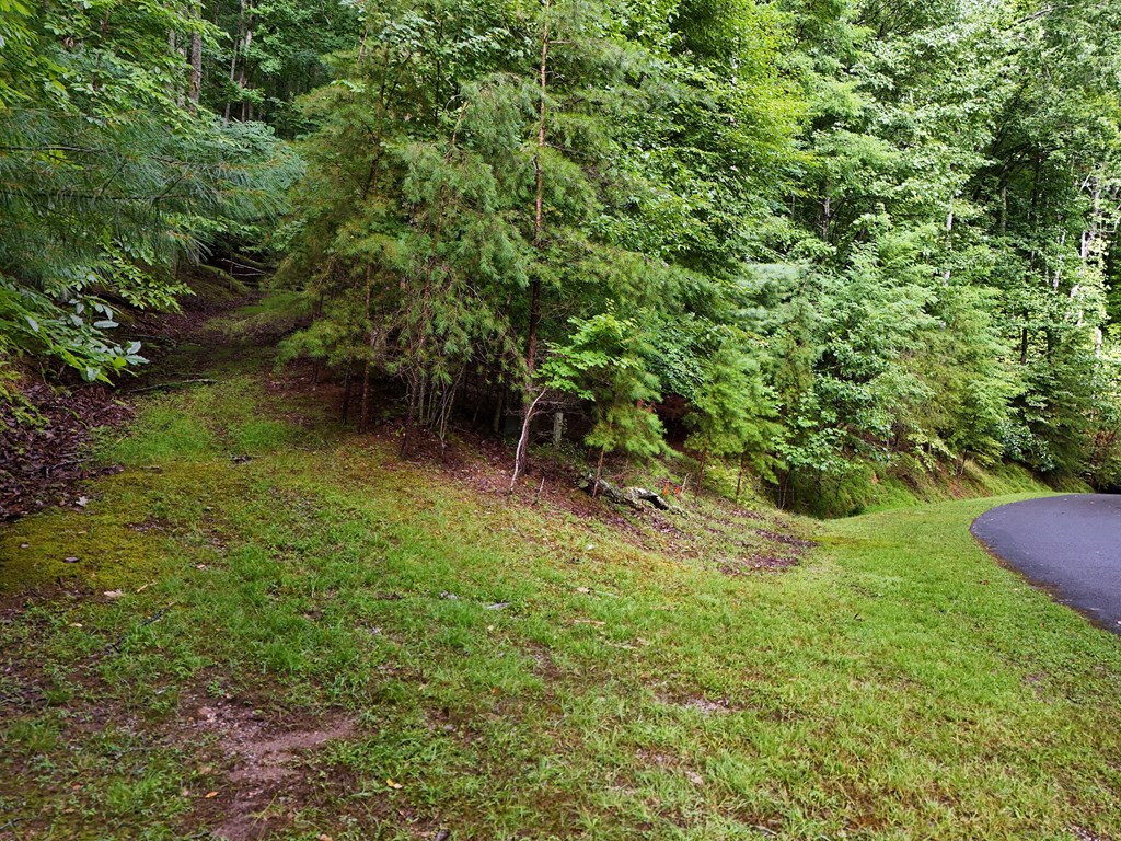 434217 Blairsville
 Land