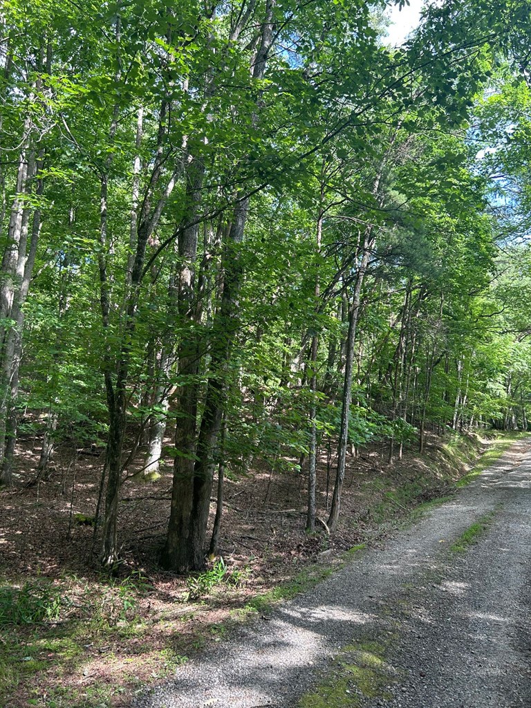 434223 Hayesville
 Land