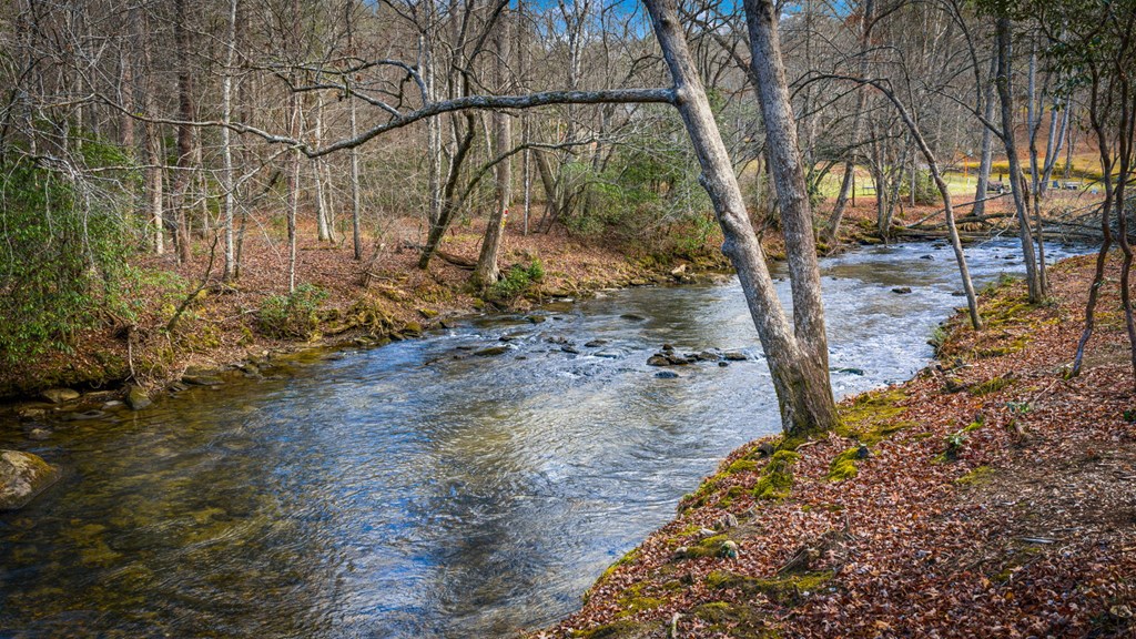 434227 Blue Ridge
 Land