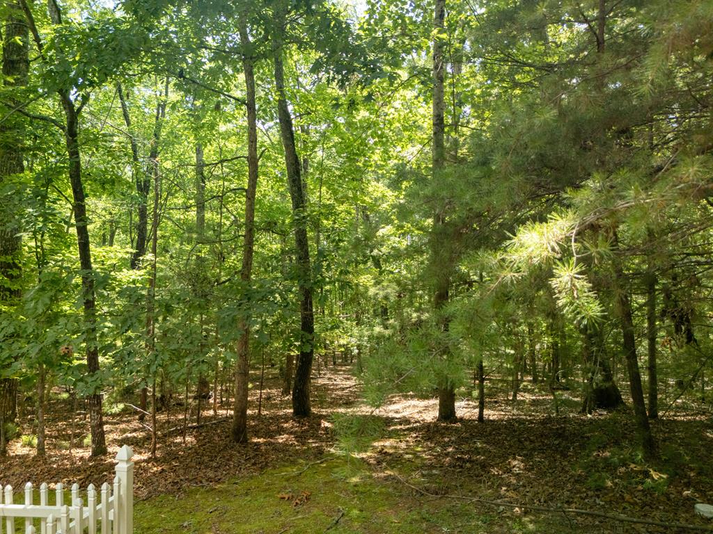 434234 Blairsville Active