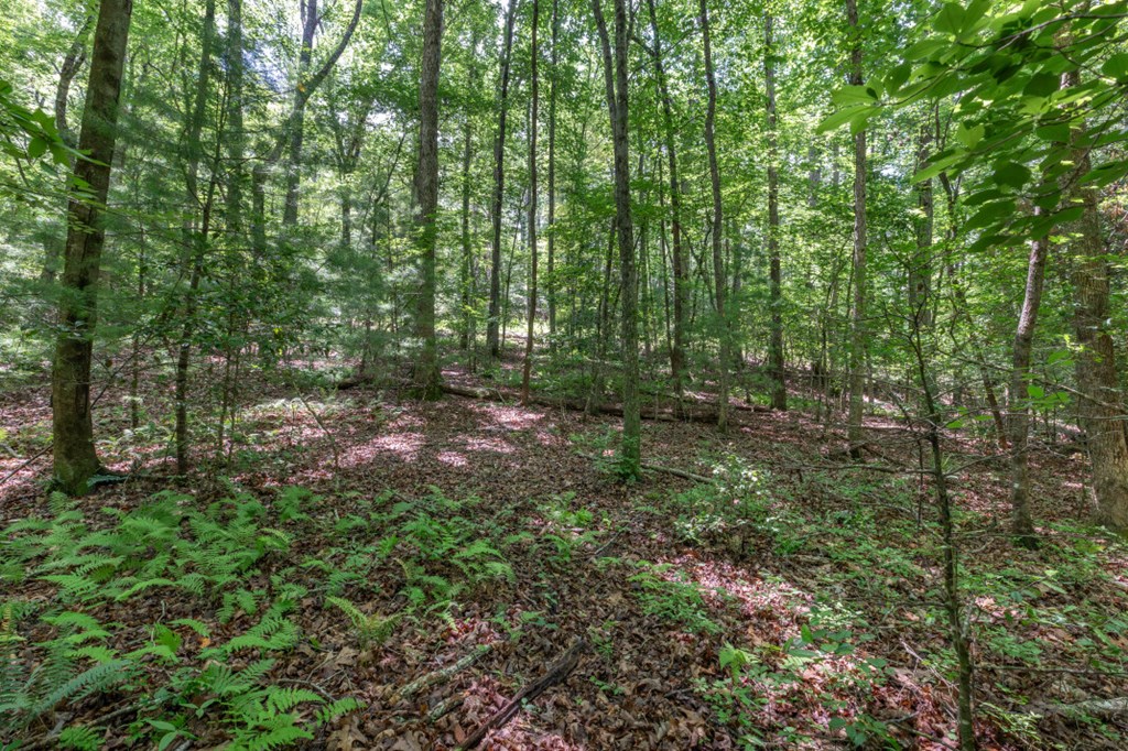 434236 Blue Ridge
 Land