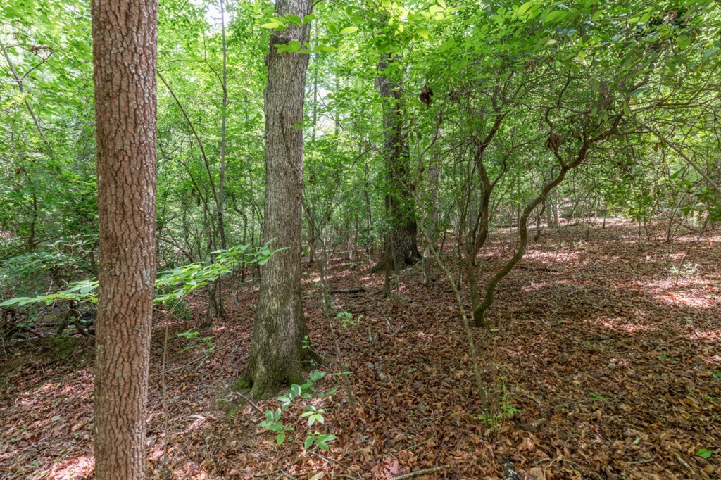 434237 Blue Ridge
 Land