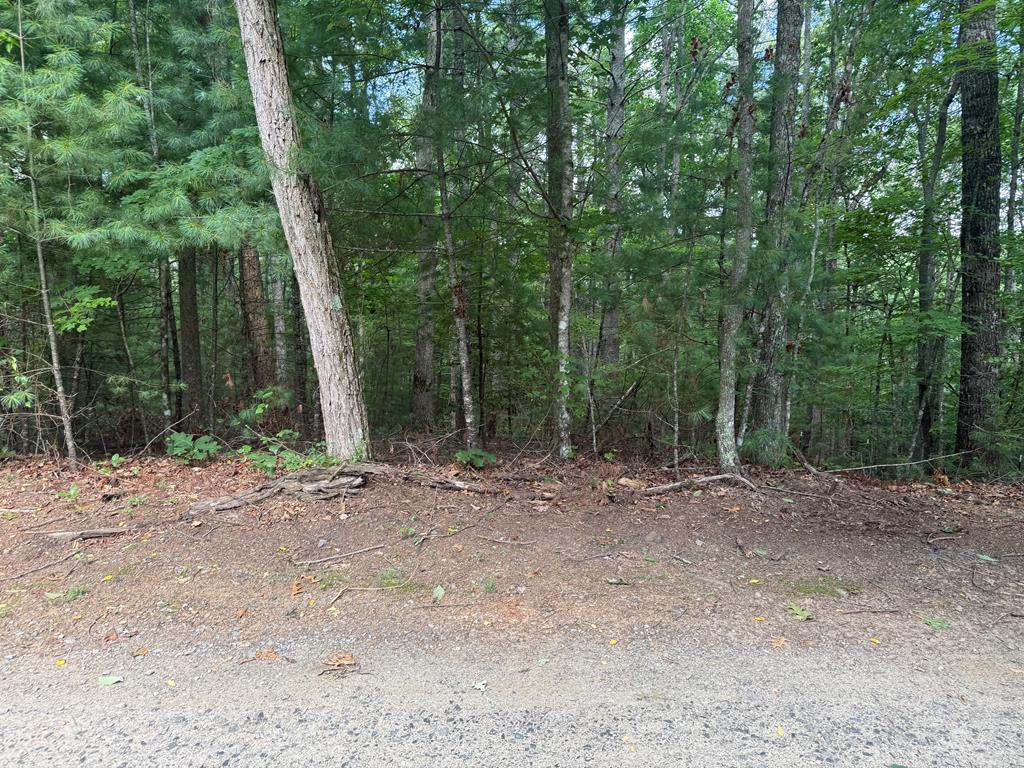 434247  Land
