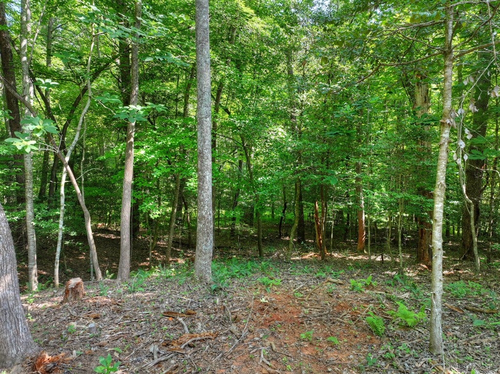 434266 Blue Ridge
 Land