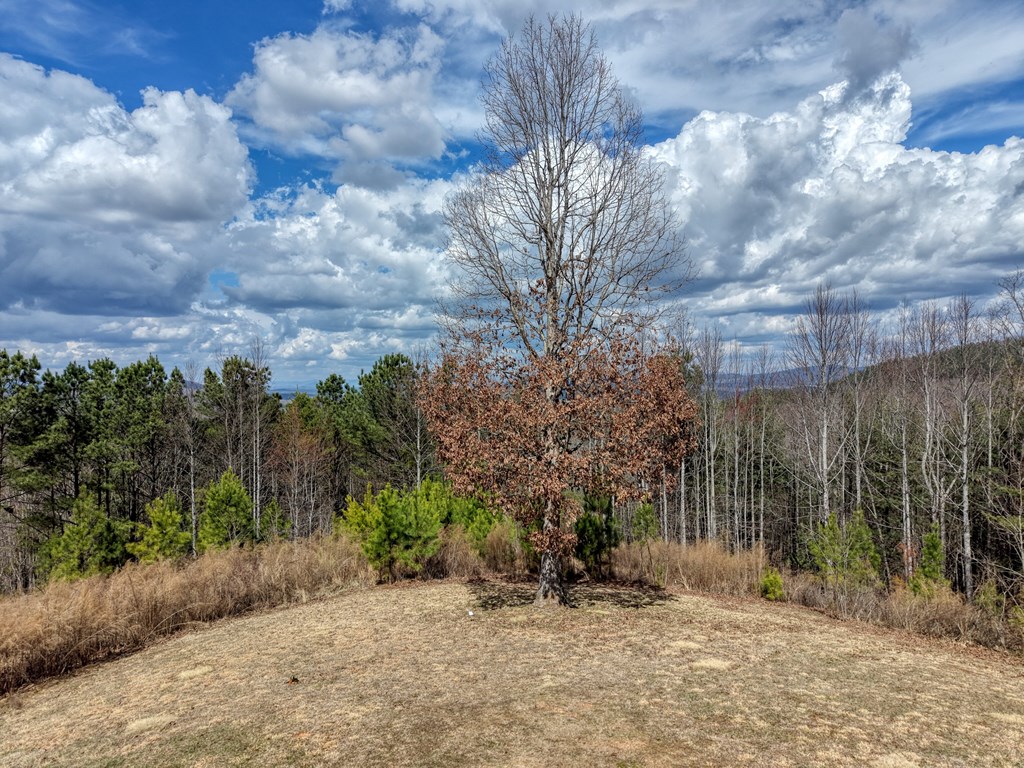 434267 Blairsville
 Land