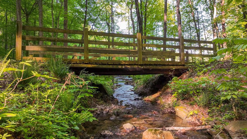 434276 Ellijay Active