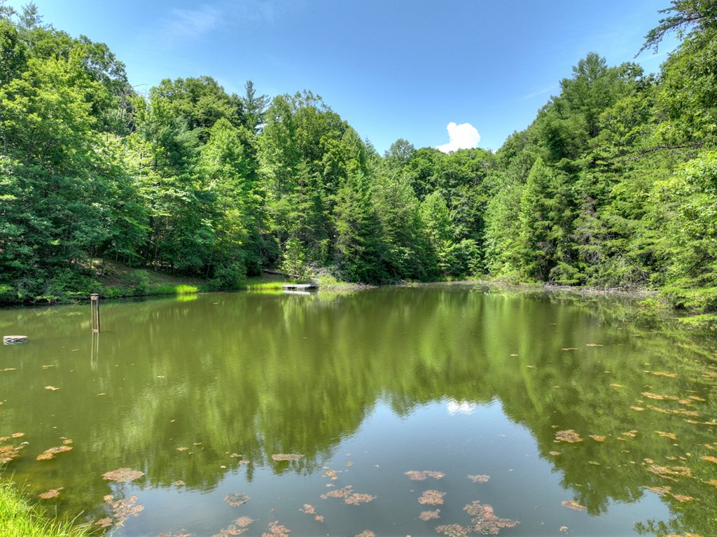 434285 McCaysville Active