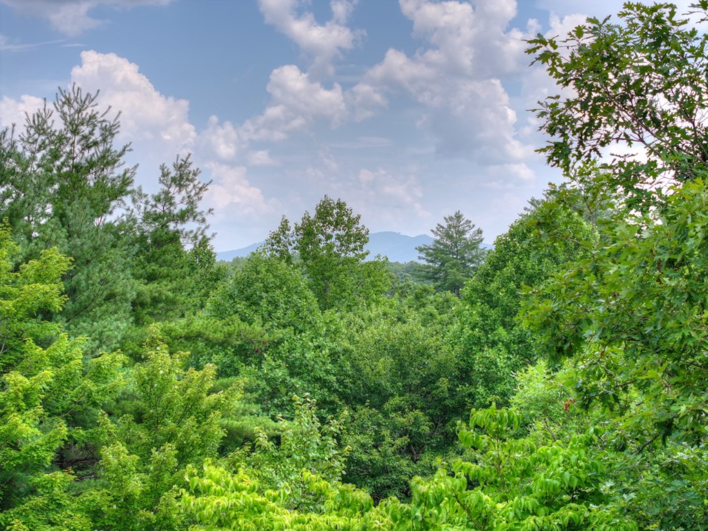 434285 McCaysville Active