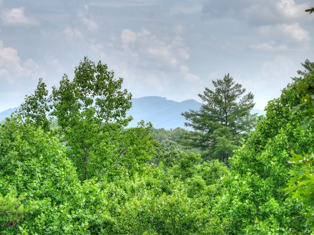 434285 McCaysville Active