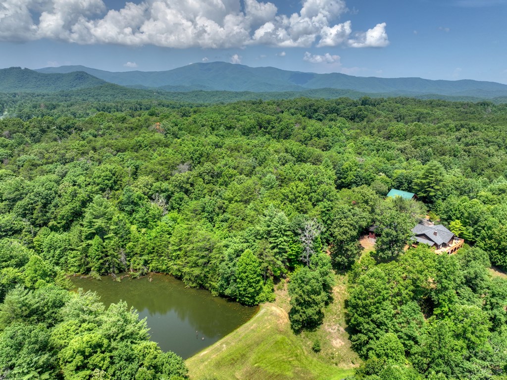 434285 McCaysville Active
