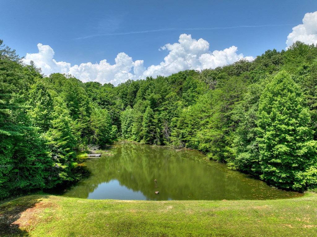 434285 McCaysville Active