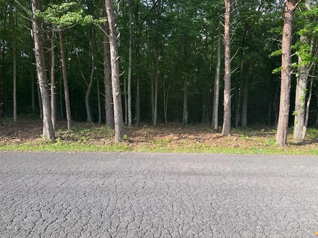 434293  Land