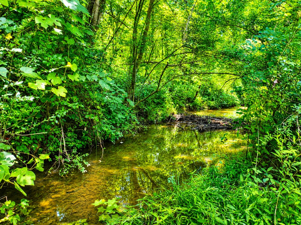 434296 Ellijay Active